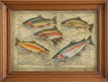Colorado Fly Fishing Poster with Classic Frame